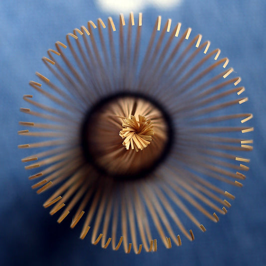 matcha whisk Chasen